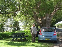 NSW - Chatsworth - Picnic Tables (12 Nov 2010)